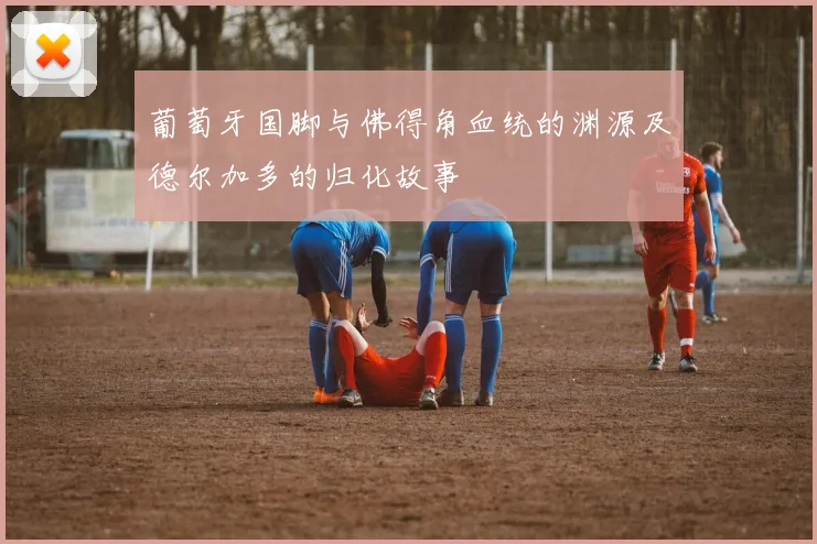 葡萄牙国脚与佛得角血统的渊源及德尔加多的归化故事