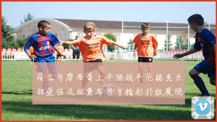 荷兰与摩洛哥上半场战平范赫克头部受伤流血费布吕亨精彩扑救展现实力