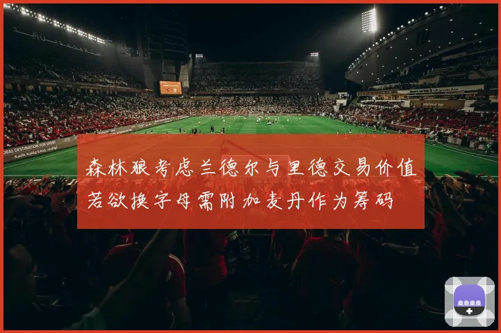 森林狼考虑兰德尔与里德交易价值若欲换字母需附加麦丹作为筹码