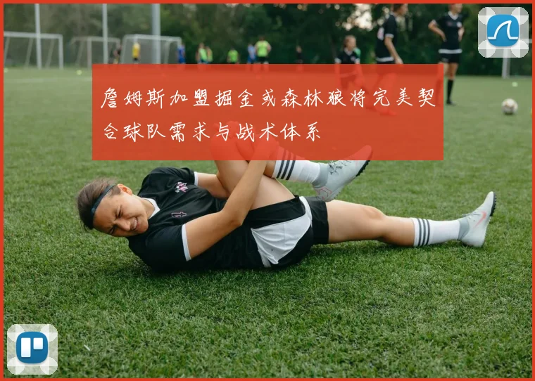 詹姆斯加盟掘金或森林狼将完美契合球队需求与战术体系