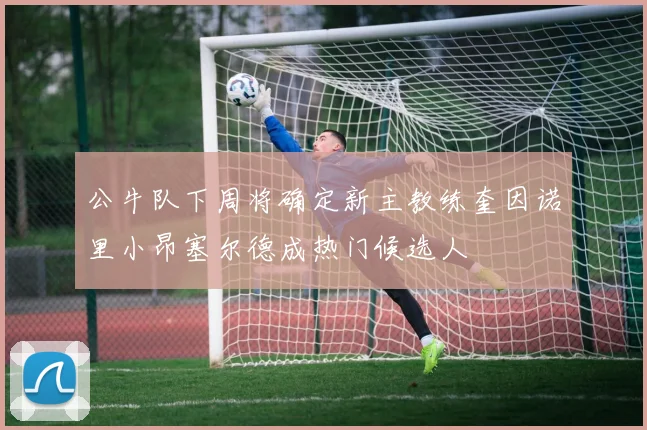 公牛队下周将确定新主教练奎因诺里小昂塞尔德成热门候选人